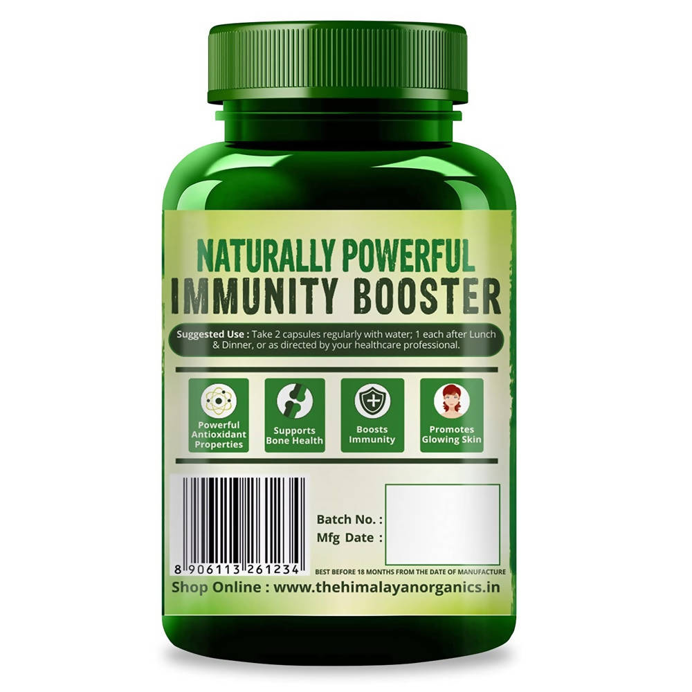 Himalayan Organics Plant Based Vitamin C + Zinc Double Immune Support Vegetarian Capsules 