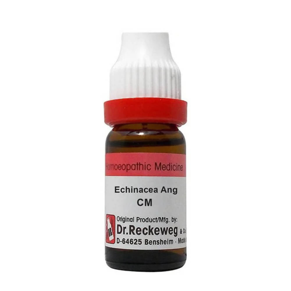 Dr. Reckeweg Echinacea Ang Dilution - Grab2buy