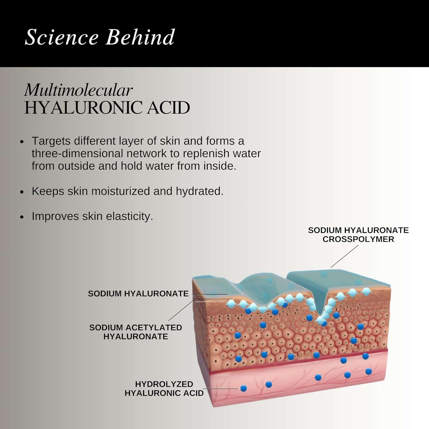 The Formularx Hydra Veil Malazia Hyaluronic Acid Gel Moisturizer  Grab2Buy The Formularx Grab2Buy