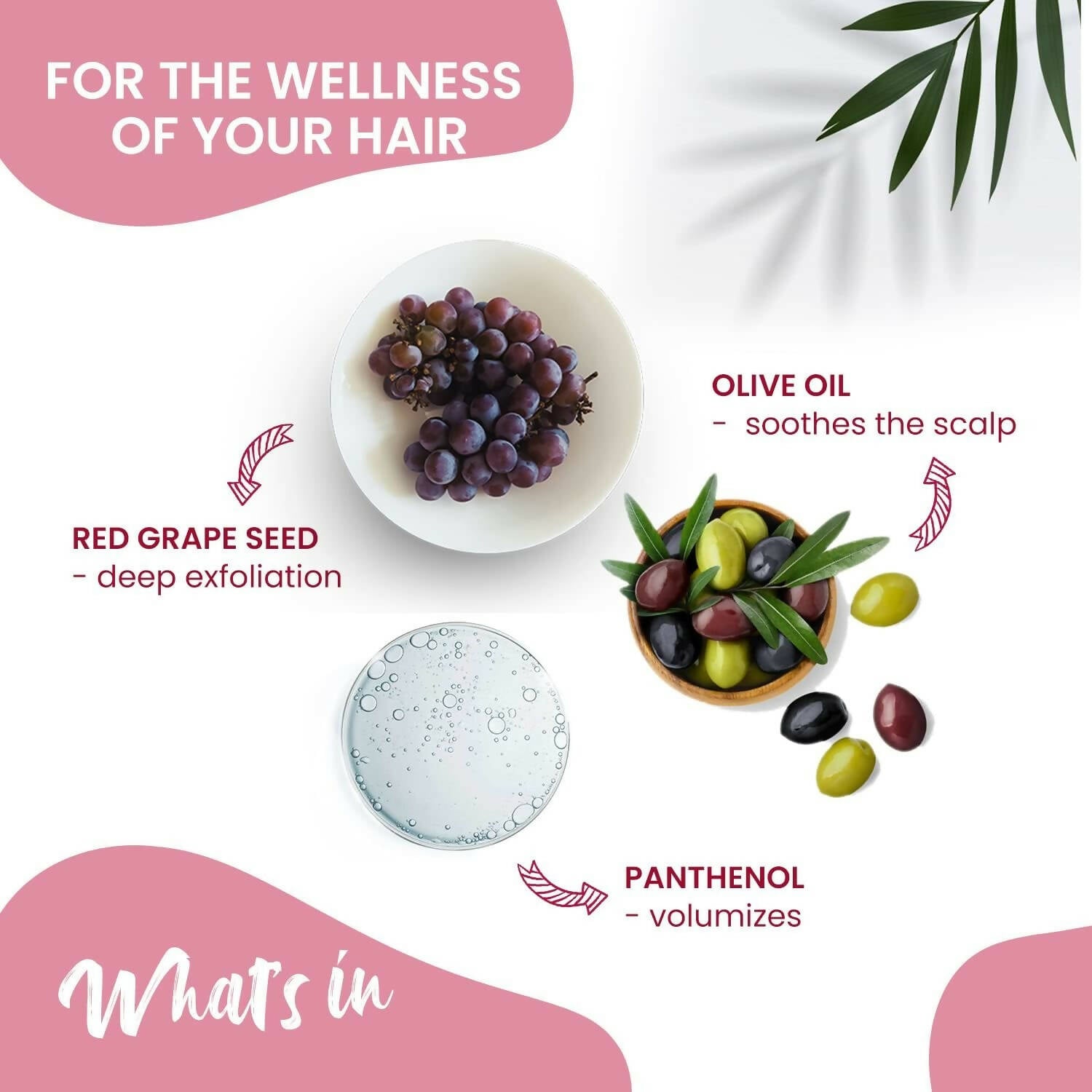 NutriGlow NATURAL'S Advanced Pro Formula Wine Hair Spa - Grab2buy