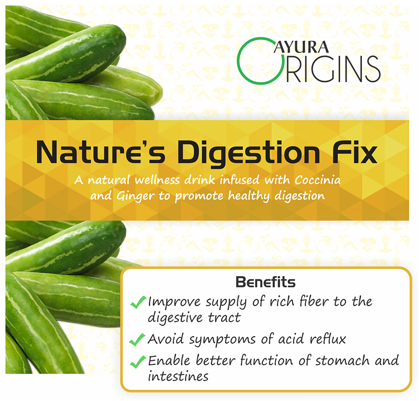 Ayura Origins Nature's Digestion Fix Powder 