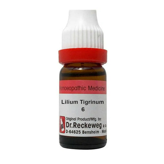 Dr. Reckeweg Lilium Tigrinum Dilution - Grab2buy