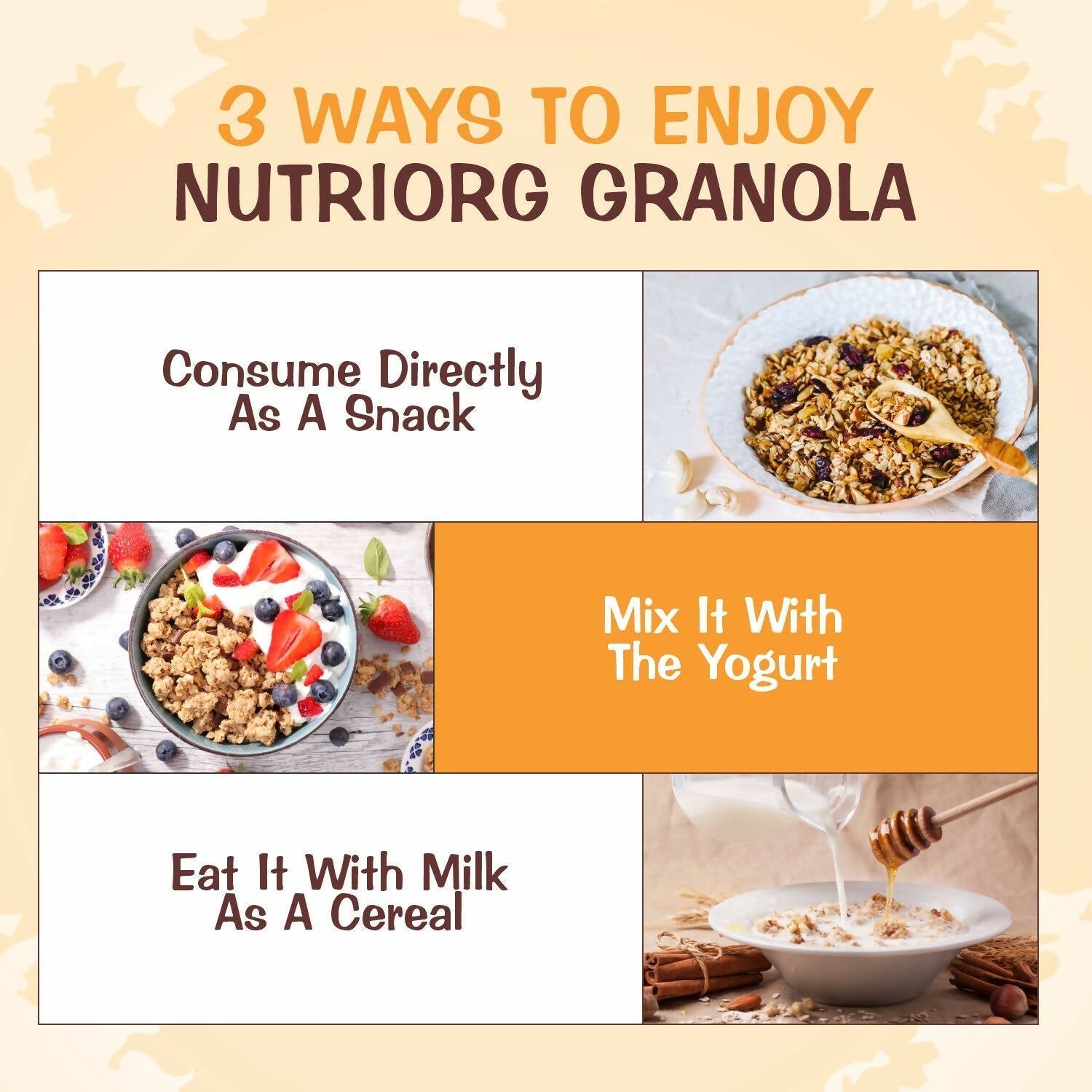 Nutriorg Crunchy Granola Seeds & Dry Fruit Flavor 