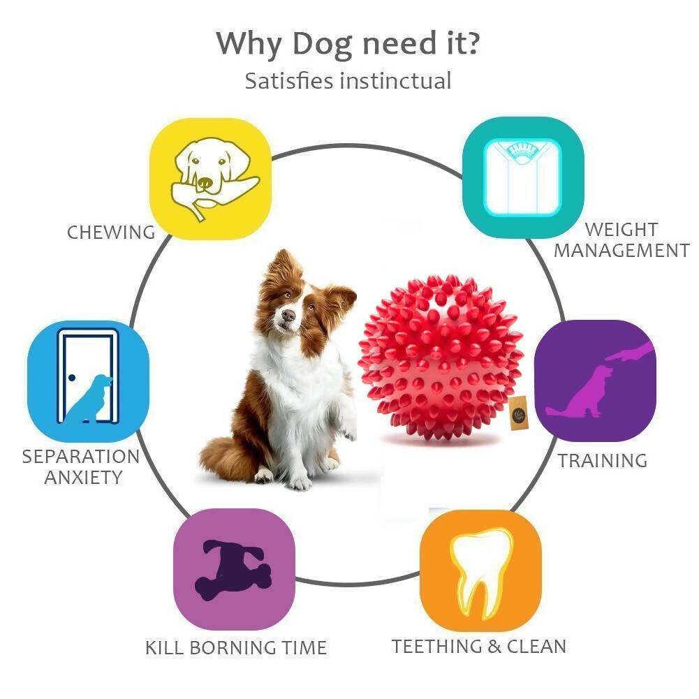 The Dogs Company Natural Rubber Spiked Ball Dog Chew Toy 
