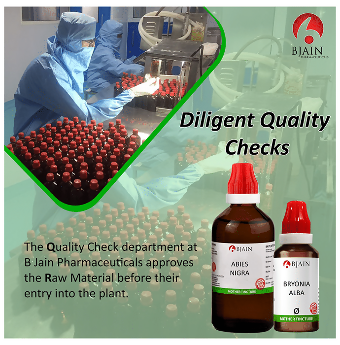 Bjain Homeopathy Carica Papaya Mother Tincture Q  Grab2Buy Bjain Homeopathy Grab2Buy