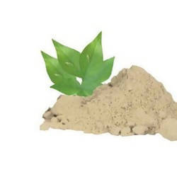Hebsur Herbals Baelpatra Powder 