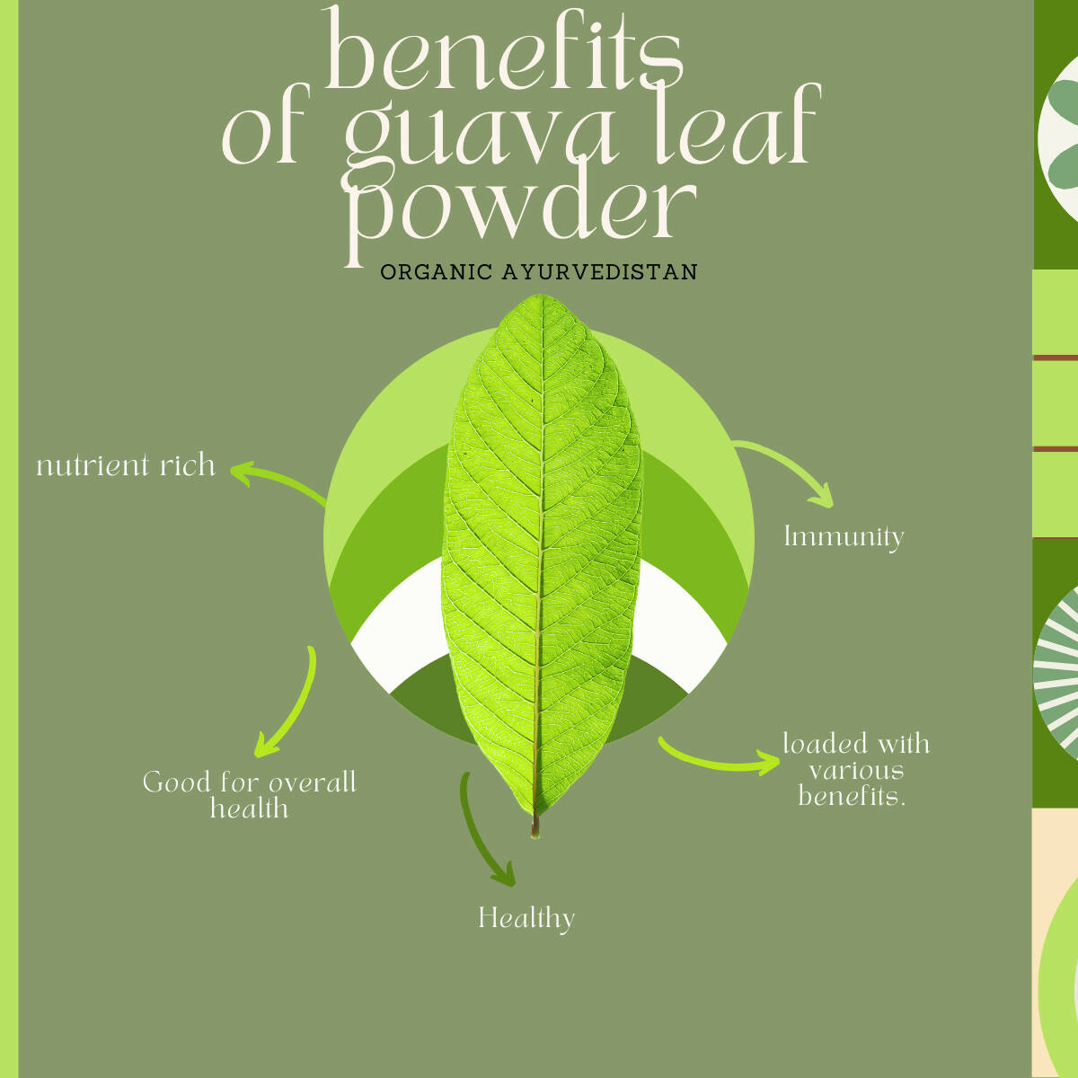 Organic Ayurvedistan Guava Leaves Powder 