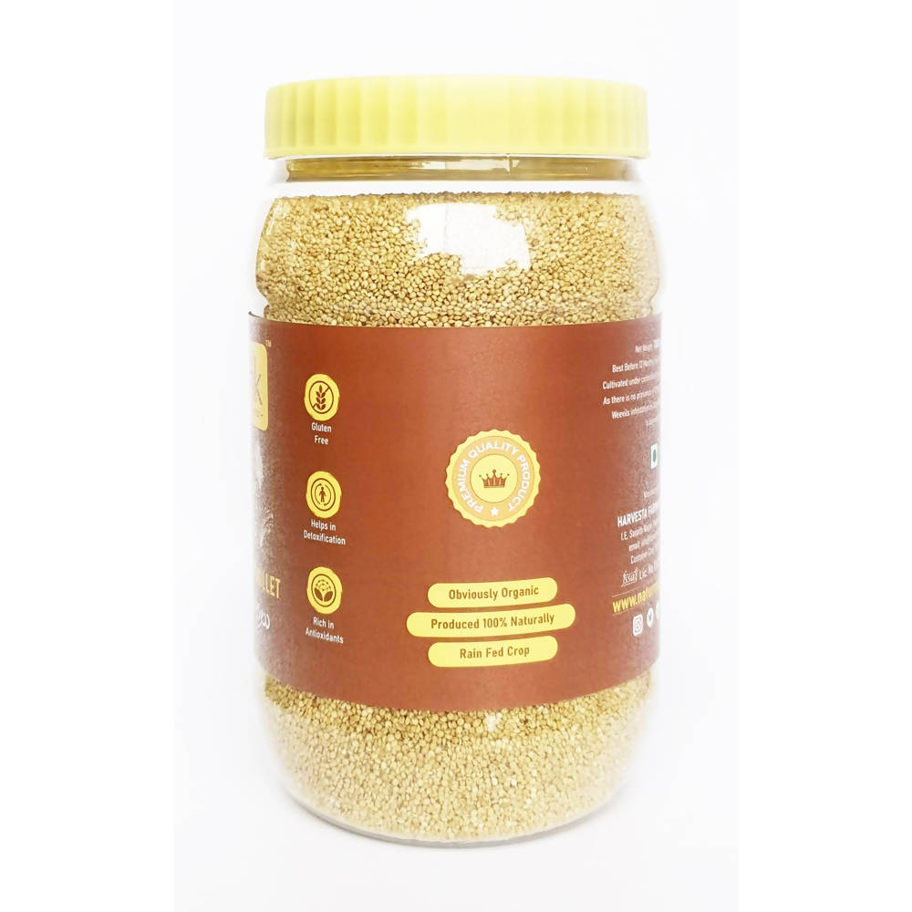Nature's Trunk Brown Top Millets (Andu Korralu) 