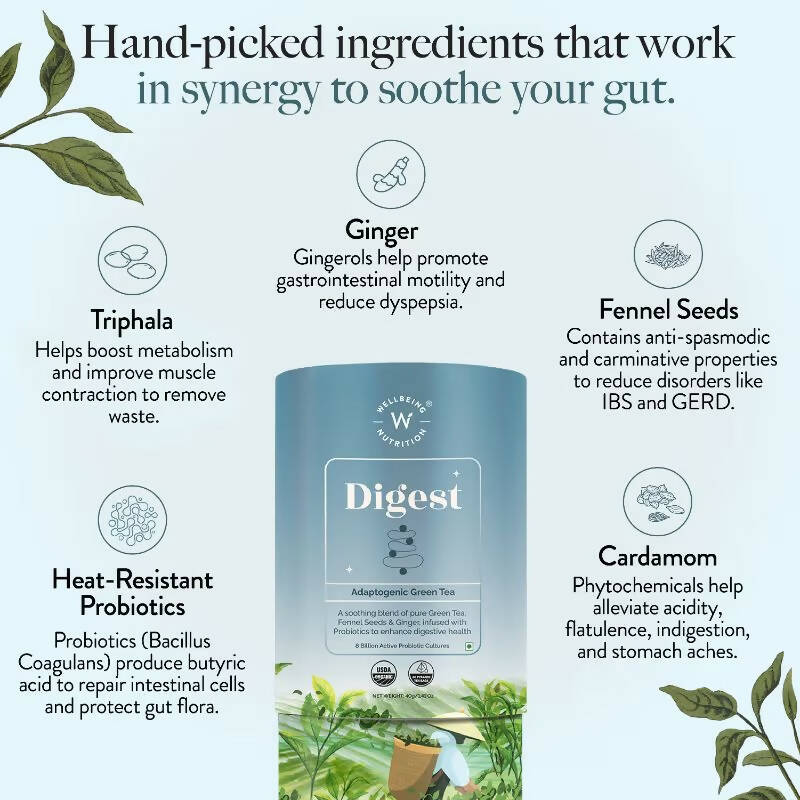 Wellbeing Nutrition Digest Green Tea  Grab2Buy Wellbeing Nutrition Grab2Buy
