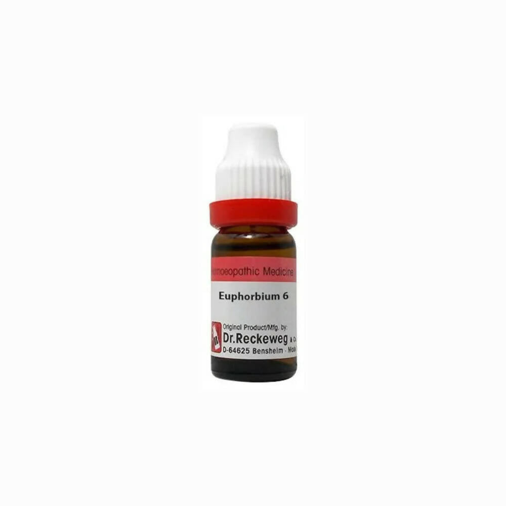 Dr. Reckeweg Euphorbium Dilution - Grab2buy