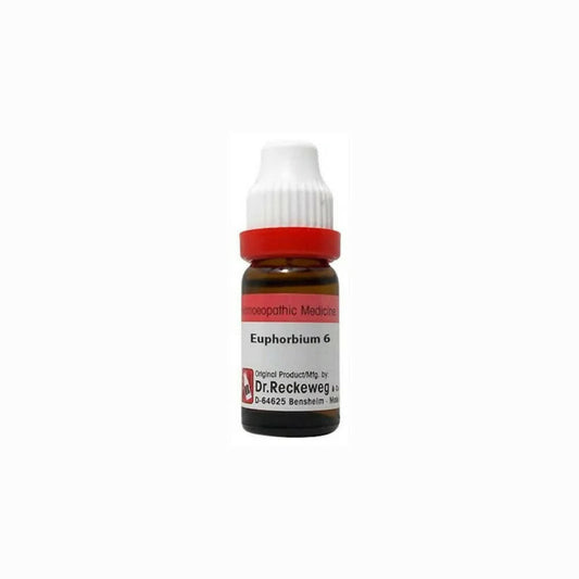 Dr. Reckeweg Euphorbium Dilution - Grab2buy