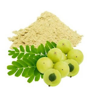 Hebsur Herbals Amla Powder - Grab2buy