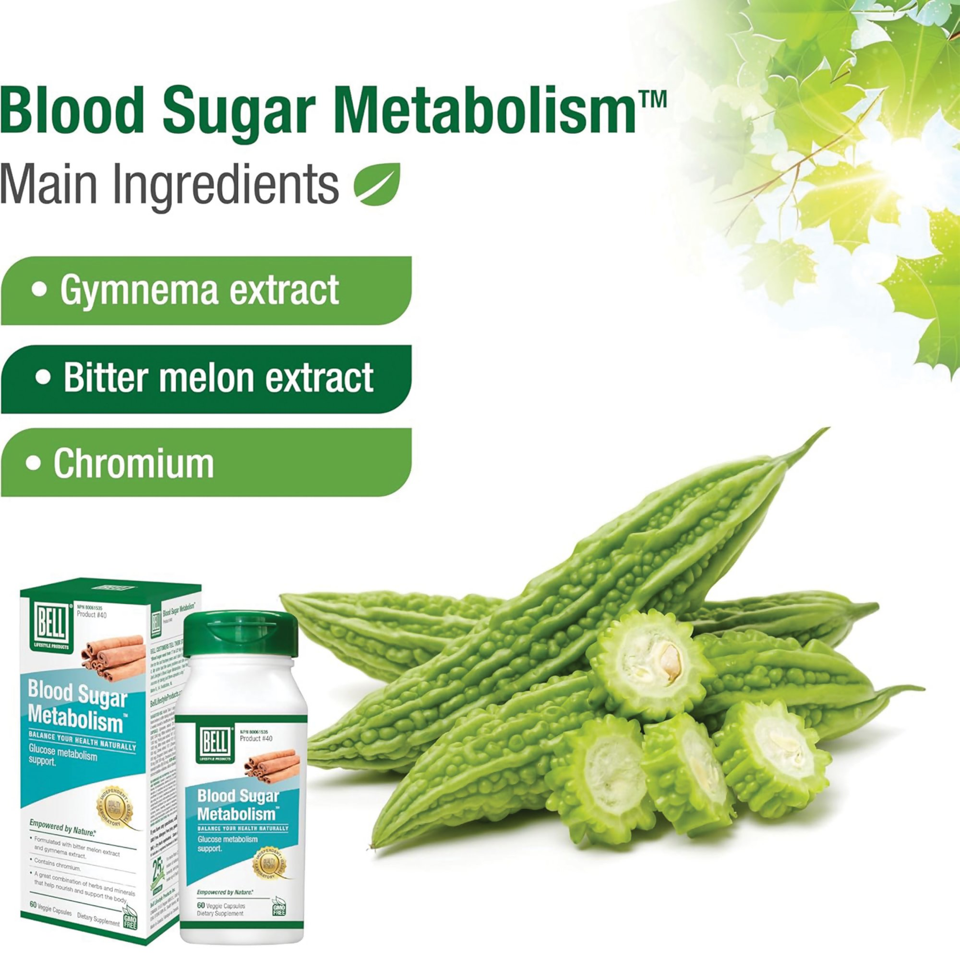 Blood Sugar Metabolism 02