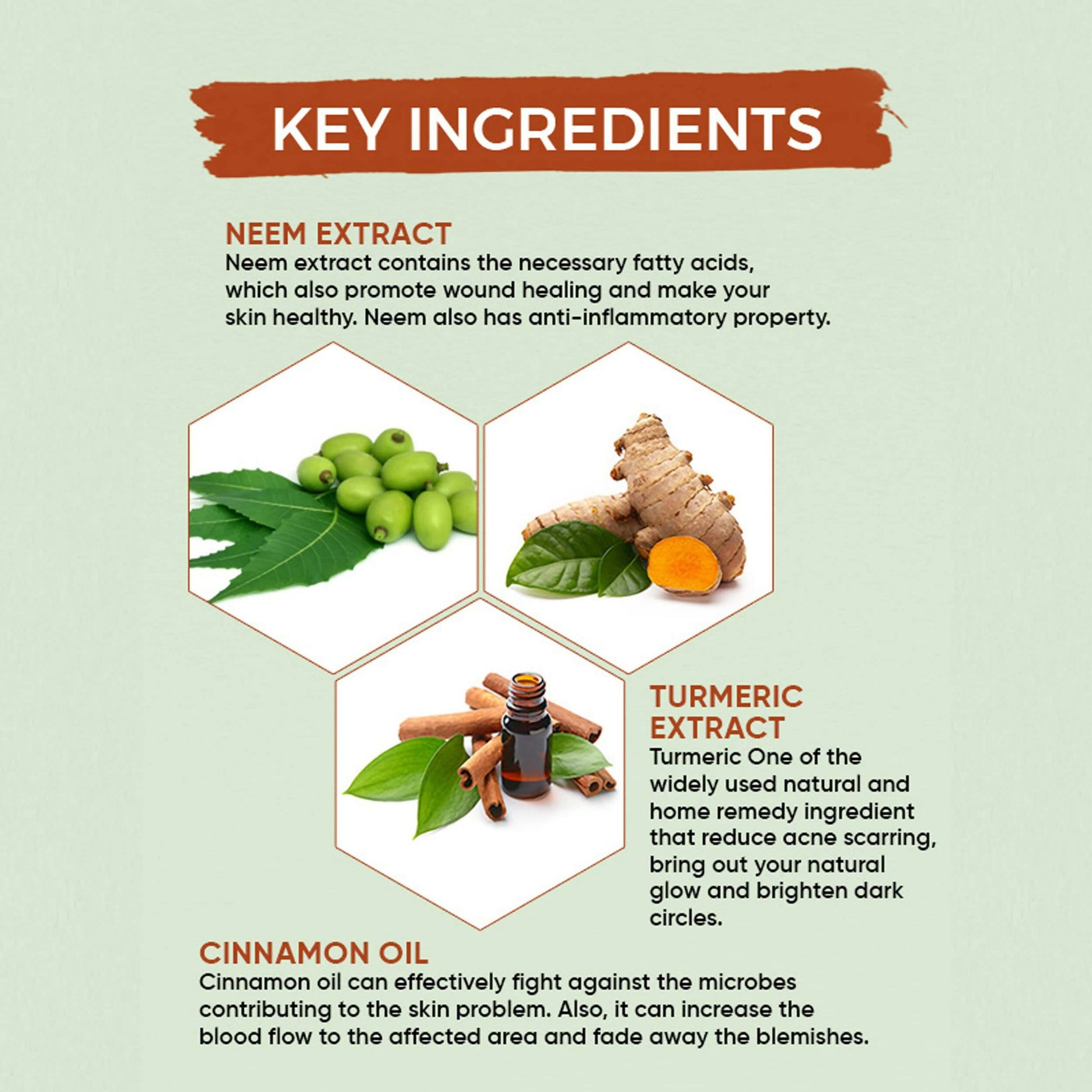 Oshea Herbals Neempure Anti Acne & Pimple Face Wash - Grab2buy