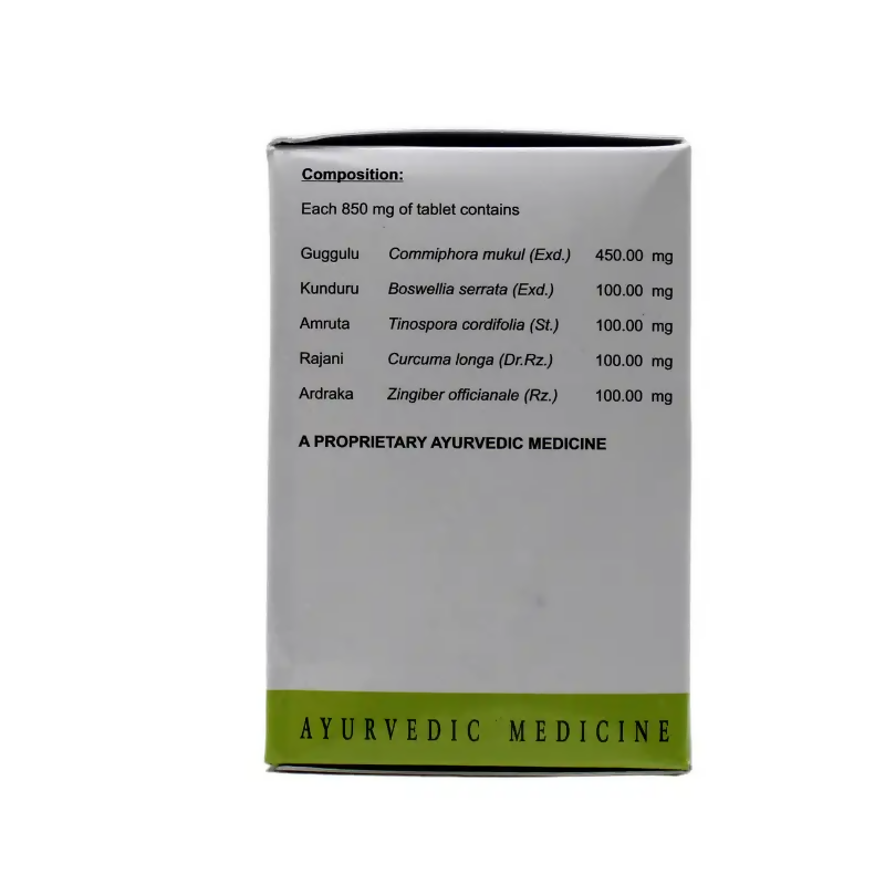 AVN Ayurveda Painflaven Tablets 