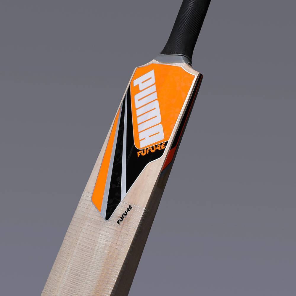 Puma Future Kashmir Willow Cricket Bat 