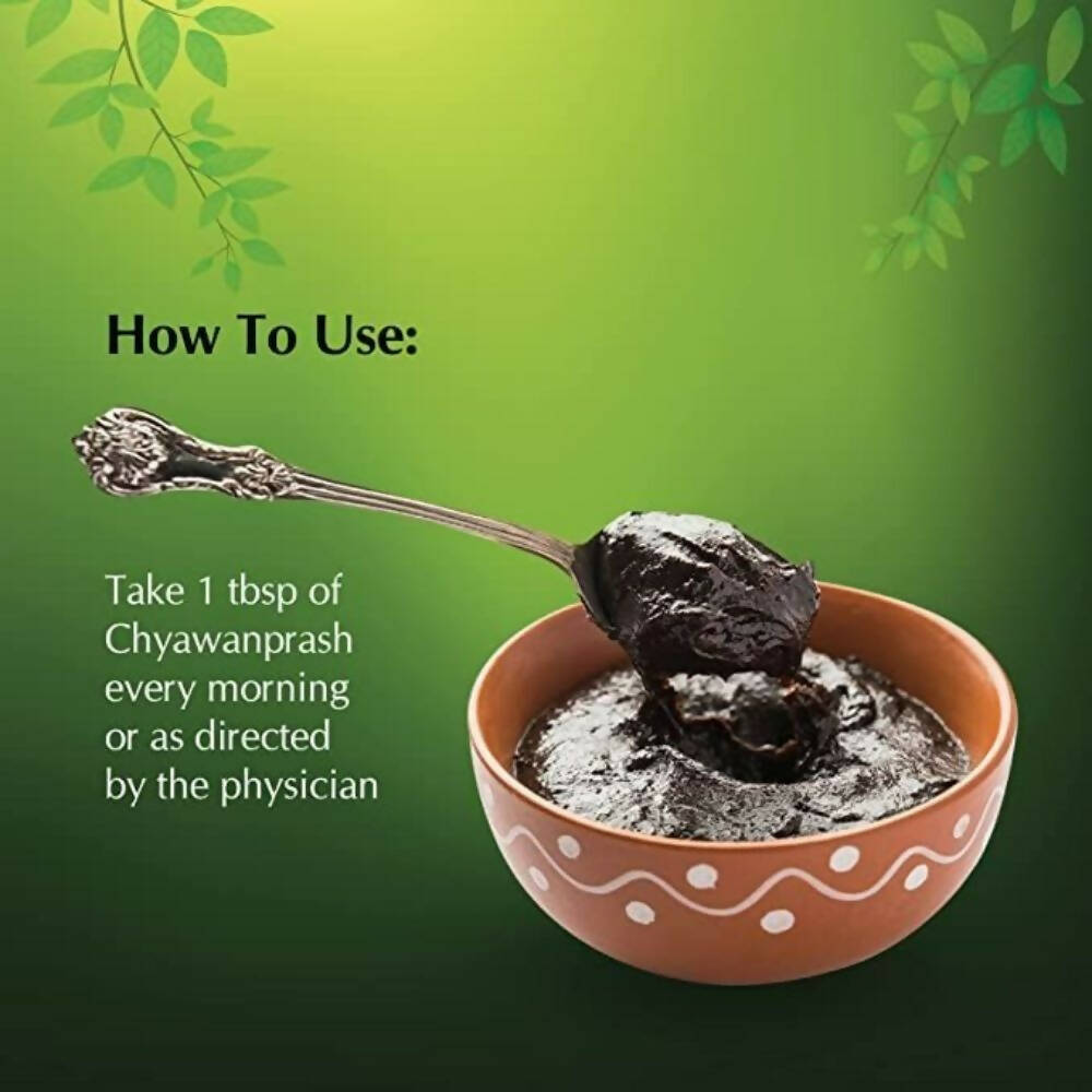 Dwibhashi Chyawanprash Lehyam - Grab2buy