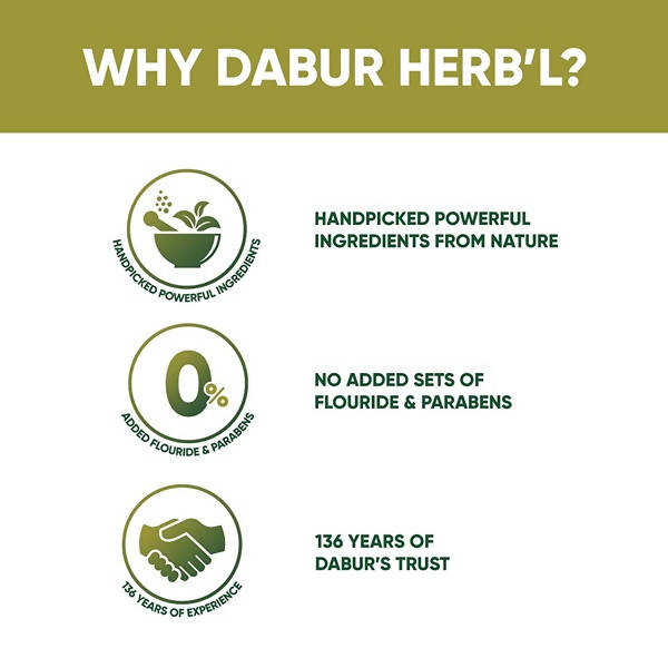 Dabur Herb'l Neem Germ Protection Complete Care Toothpaste 