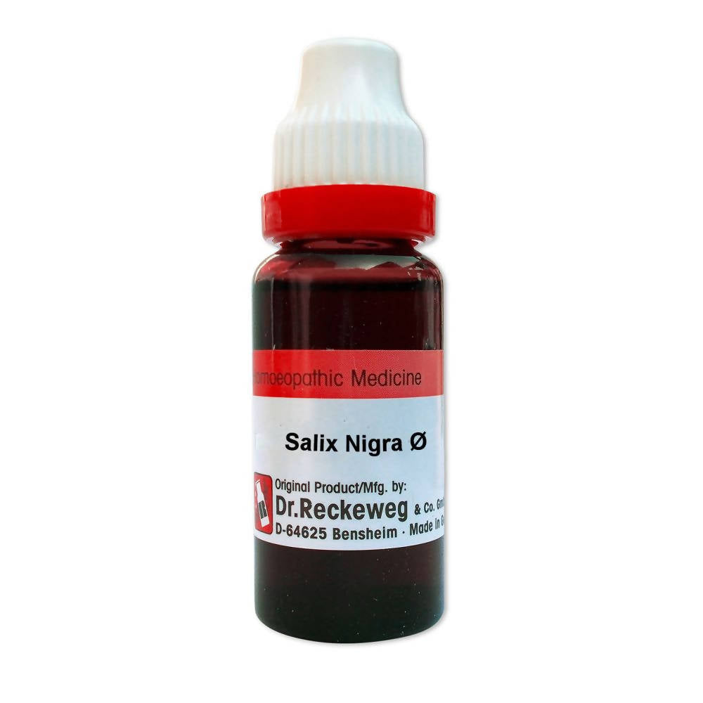 Dr. Reckeweg Salix Nigra Mother Tincture Q 
