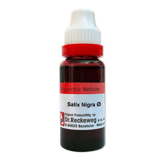 Dr. Reckeweg Salix Nigra Mother Tincture Q 