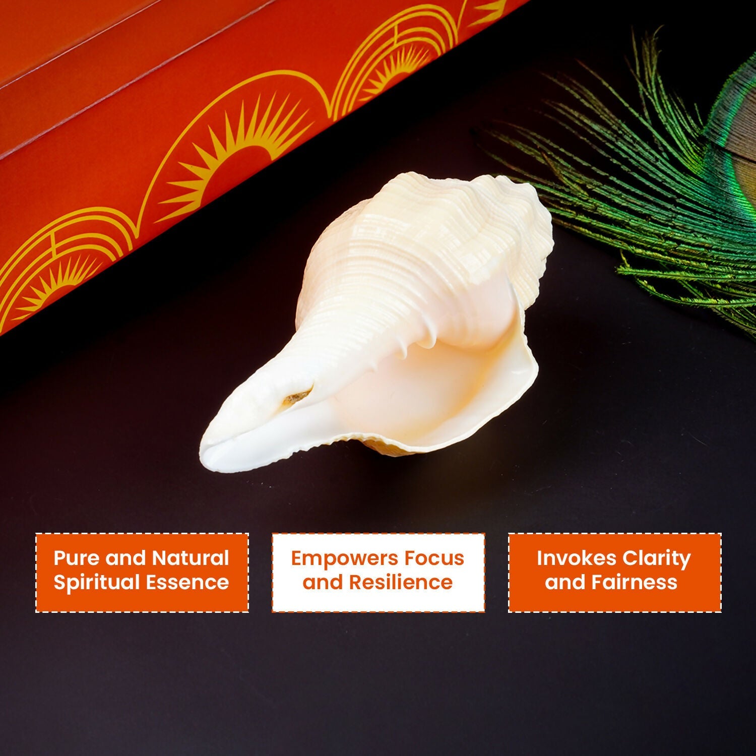 Pujashree Mangal Shankh – Navagraha Conch For Strength, Courage & Protection