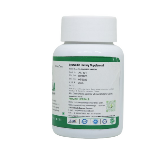 Canva - 2024-12-26T155538.570