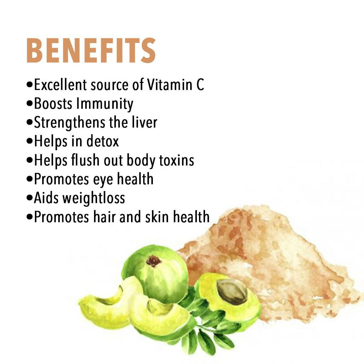 Nutriorg Certified Organic Amla Powder 