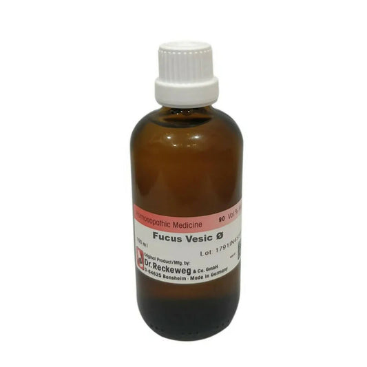 Dr. Reckeweg Fucus Vesic Mother Tincture Q - Grab2buy