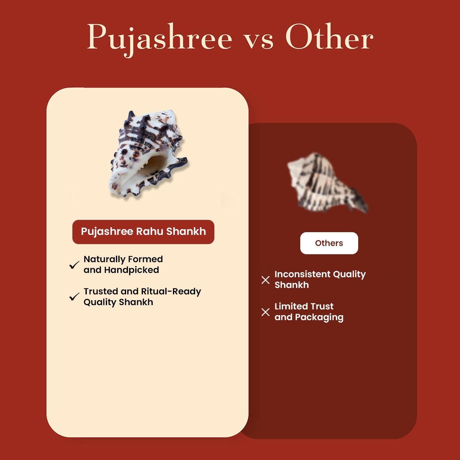 Pujashree Rahu Shankh – Spiritual Conch for Rahu Dosha Relief & Puja