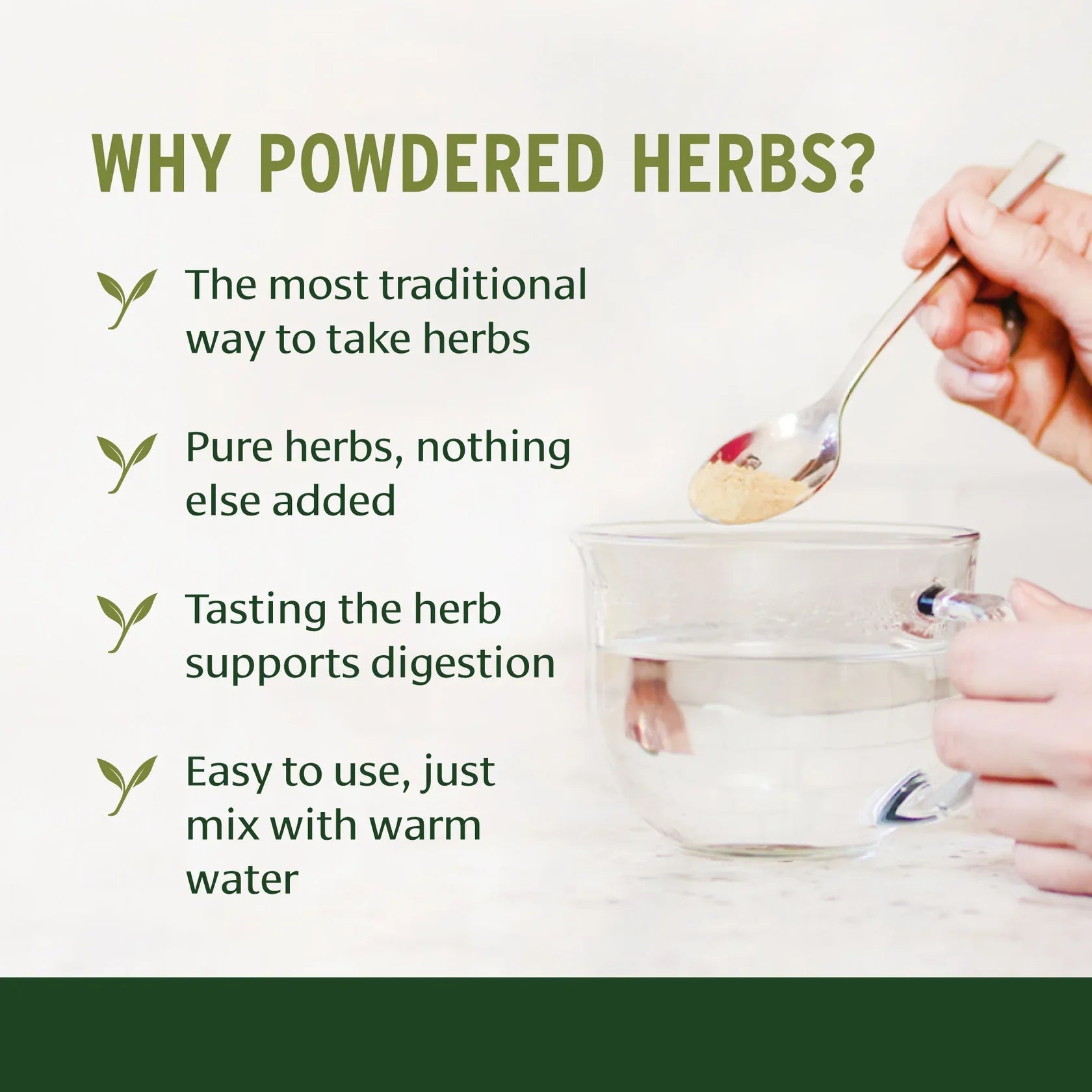 Moringa powder - Certified Organic 