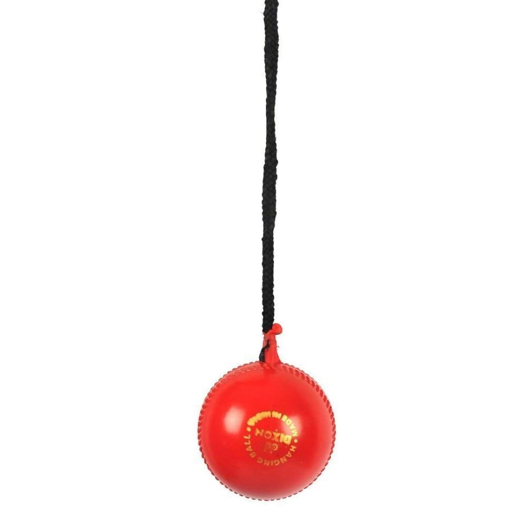 SG Iball Synthetic Hanging Ball - Red 