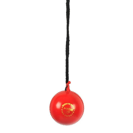 SG Iball Synthetic Hanging Ball - Red 