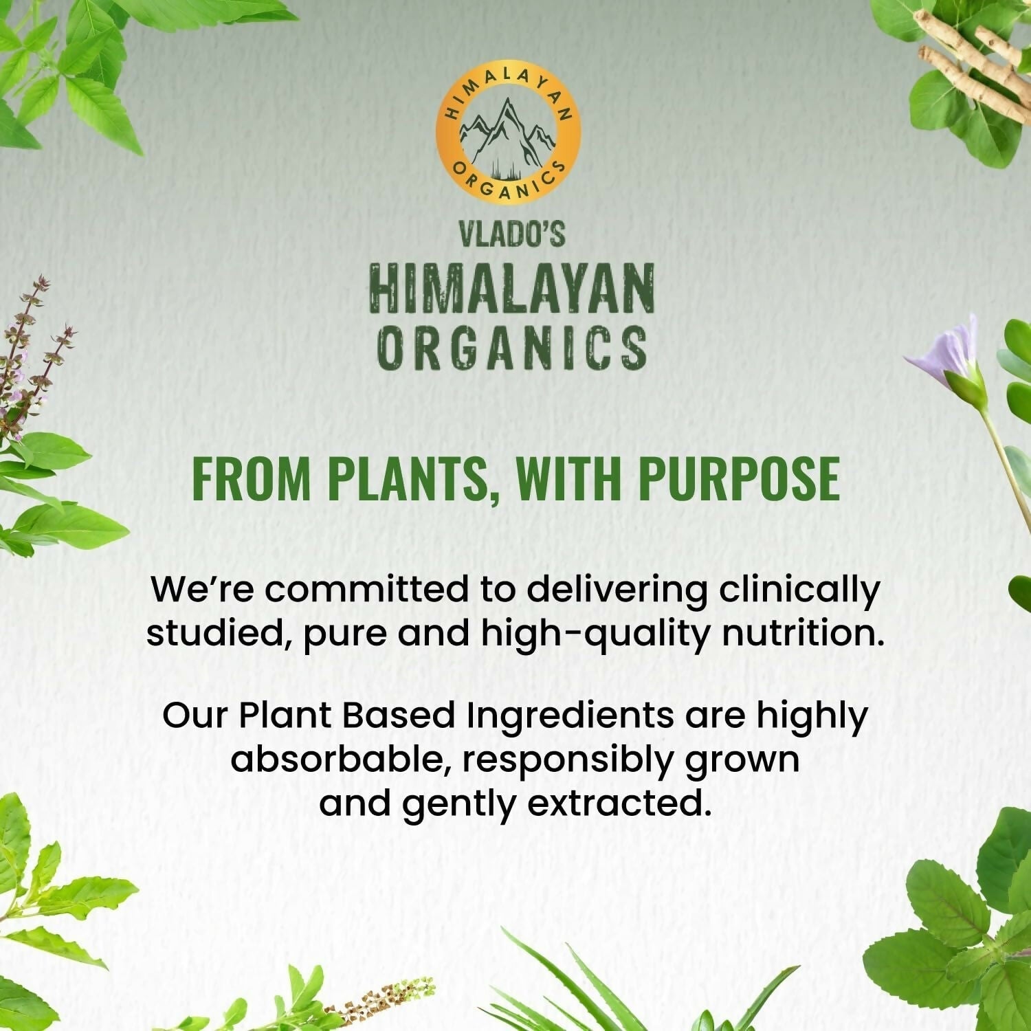 Himalayan Organics Vlado’s Plant Based 600iU Supplement Vitamin D3 + K2 