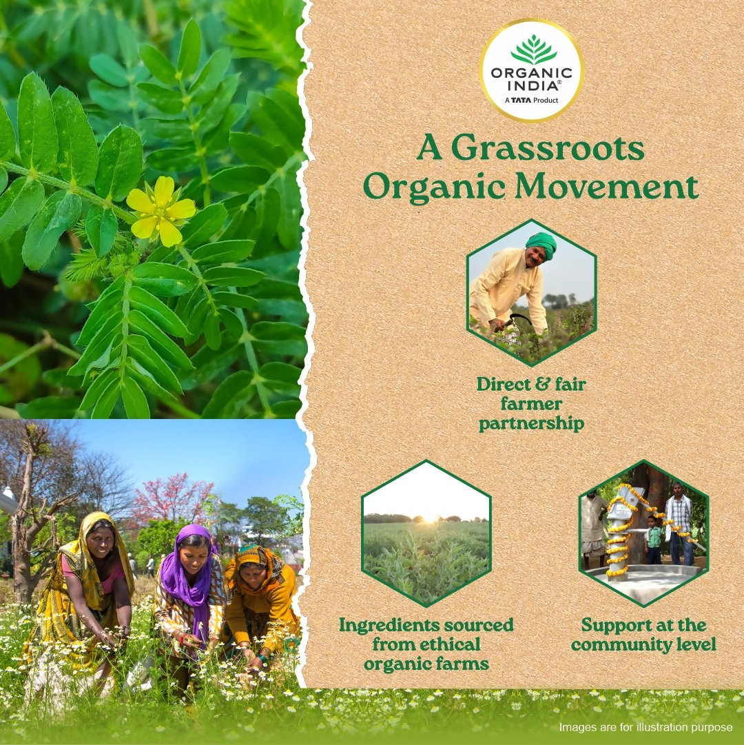 Organic India Gokshura Capsules 