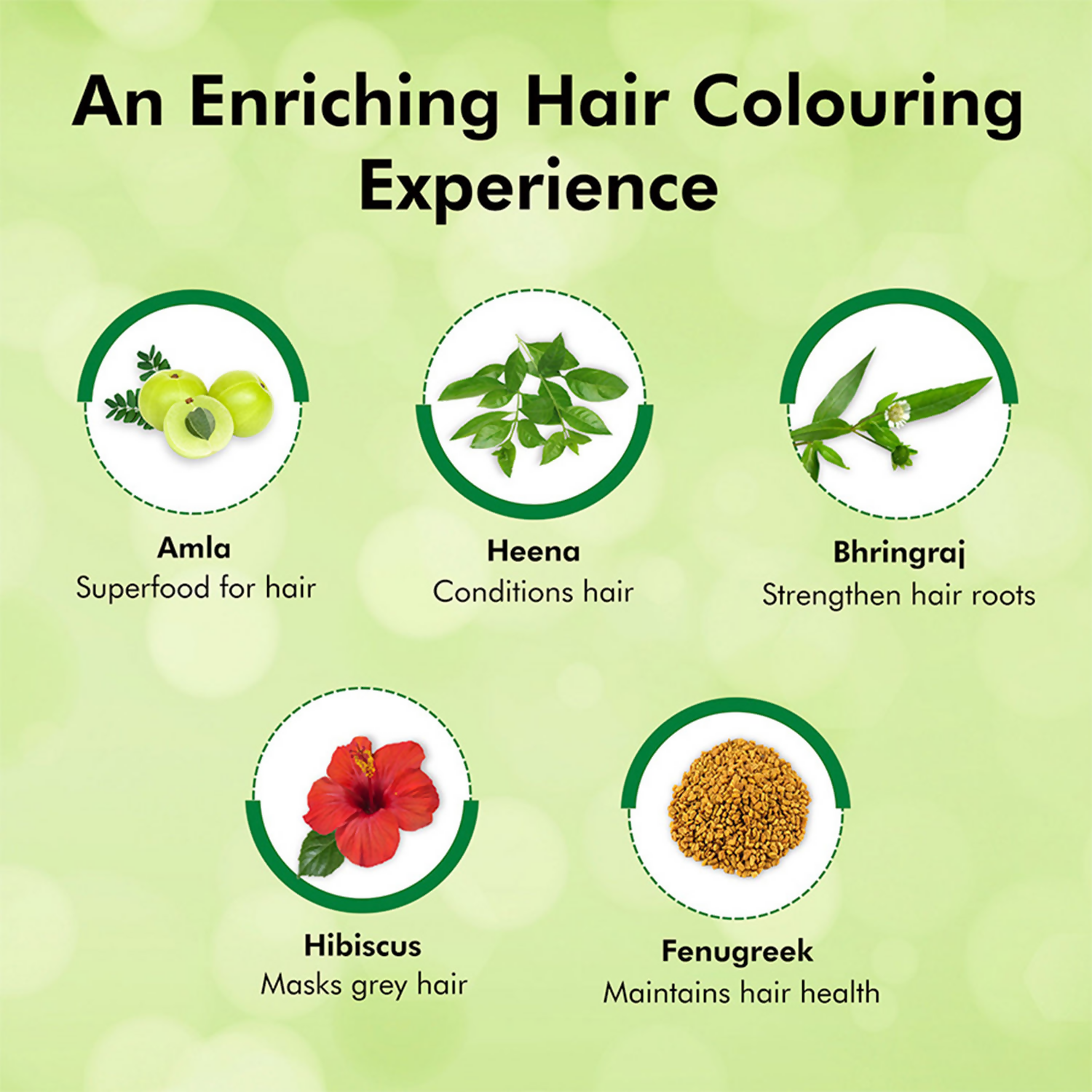 Indica Easy Hair Color Shampoo Burgundy 