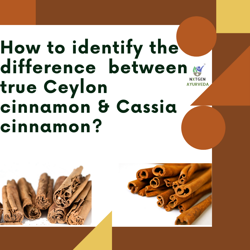 Nxtgen Ayurveda Ceylon Cinnamon Sticks 