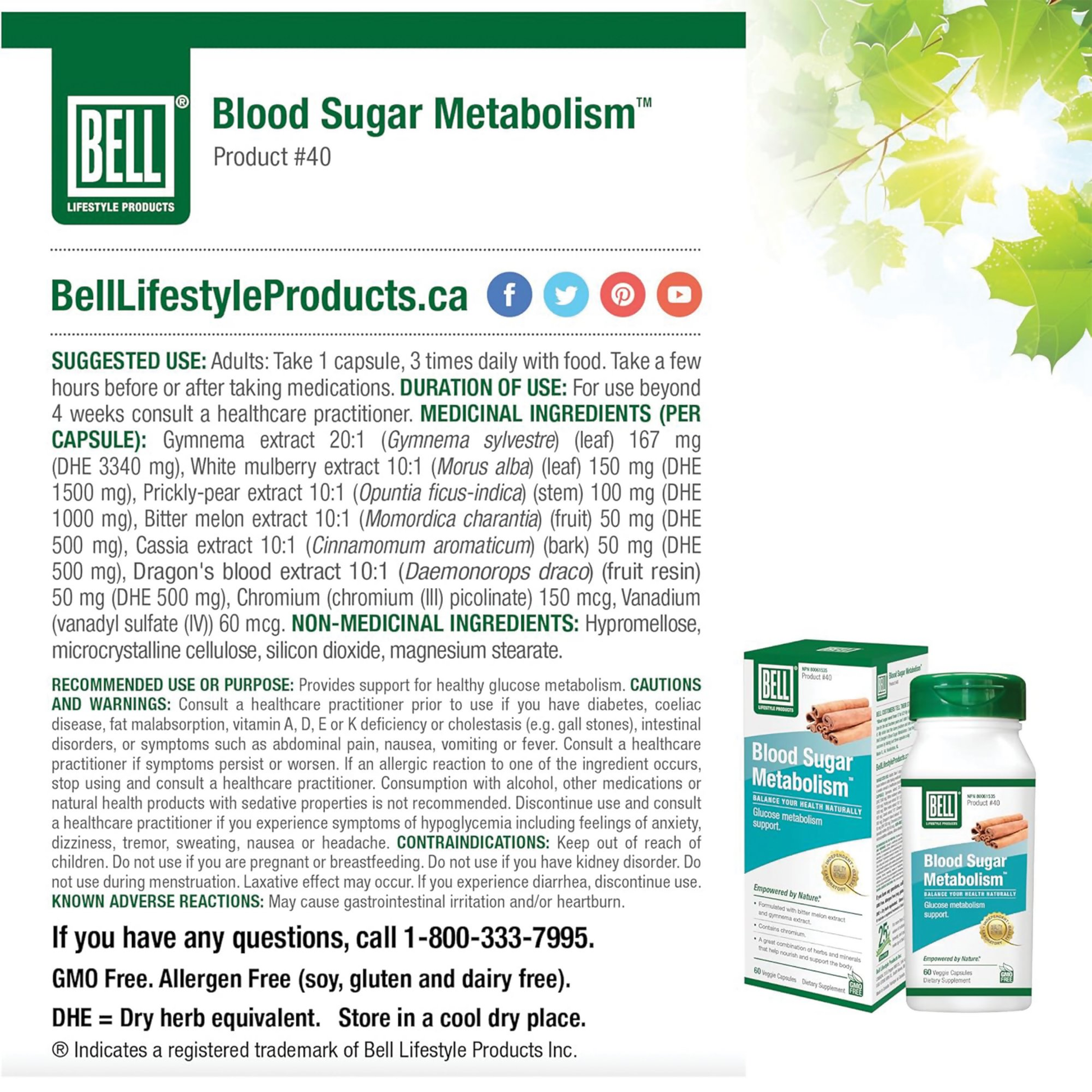 Blood Sugar Metabolism 03