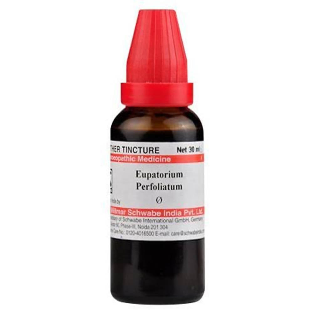 Dr. Willmar Schwabe India Eupatorium Perfoliatum Mother Tincture Q 