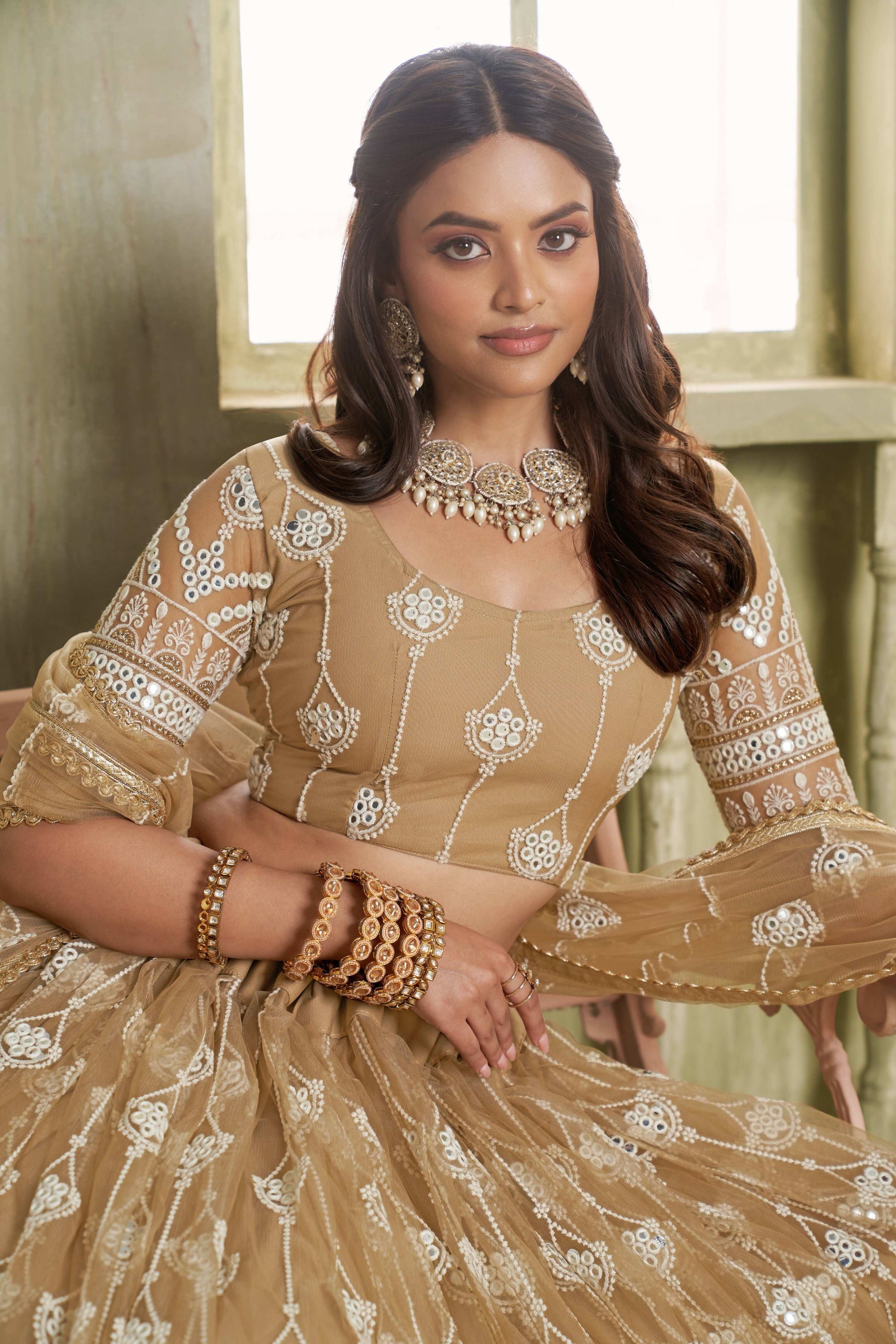 Eilara Classical Khaki Net A - Line Lehenga Choli