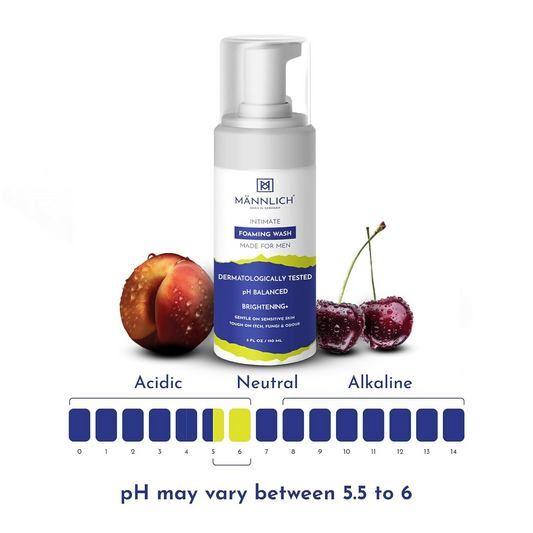 download - 2024-11-08T124736.662