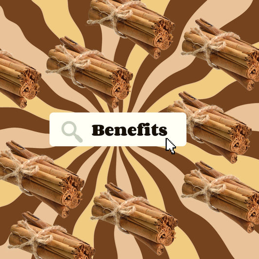 Organic Ayurvedistan Ceylon Cinnamon Powder - Grab2buy