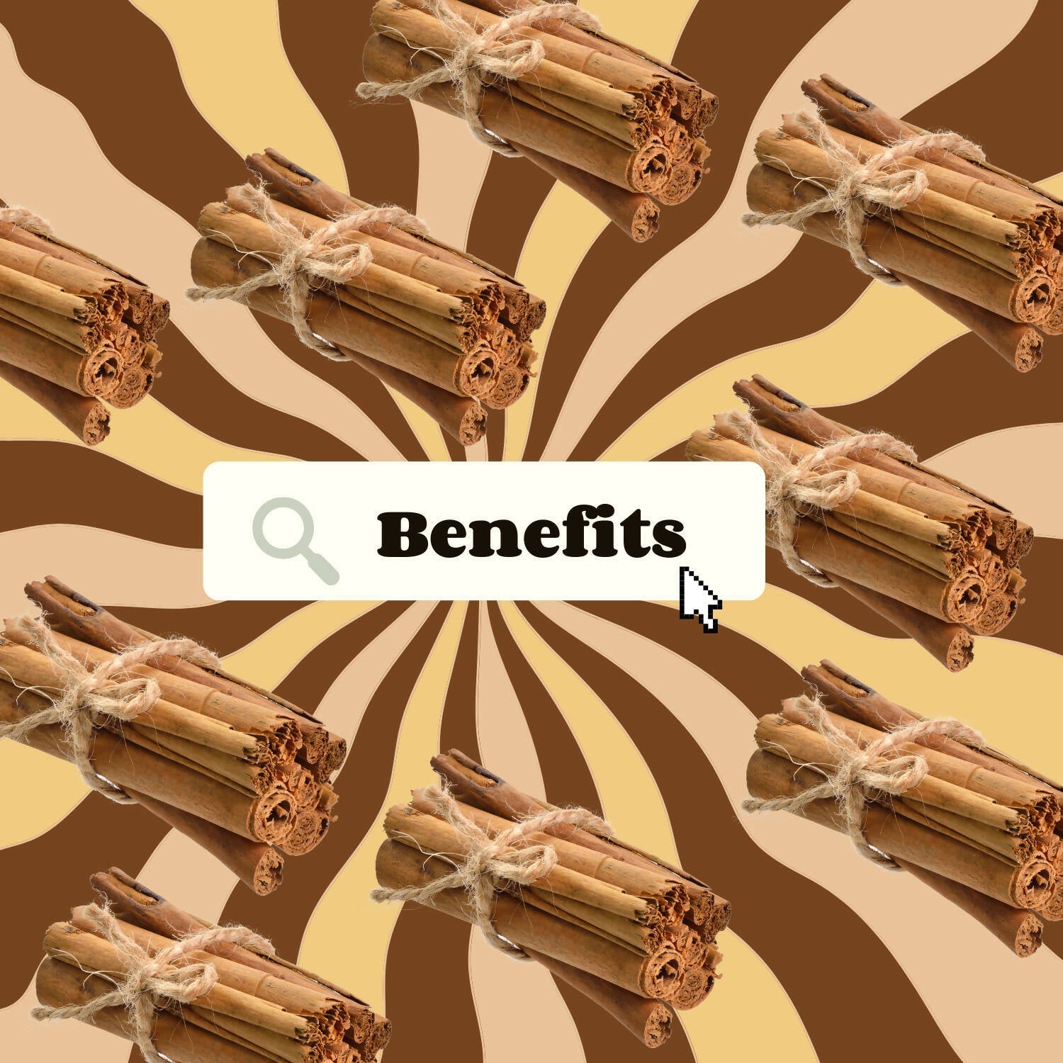 Organic Ayurvedistan Ceylon Cinnamon Powder 