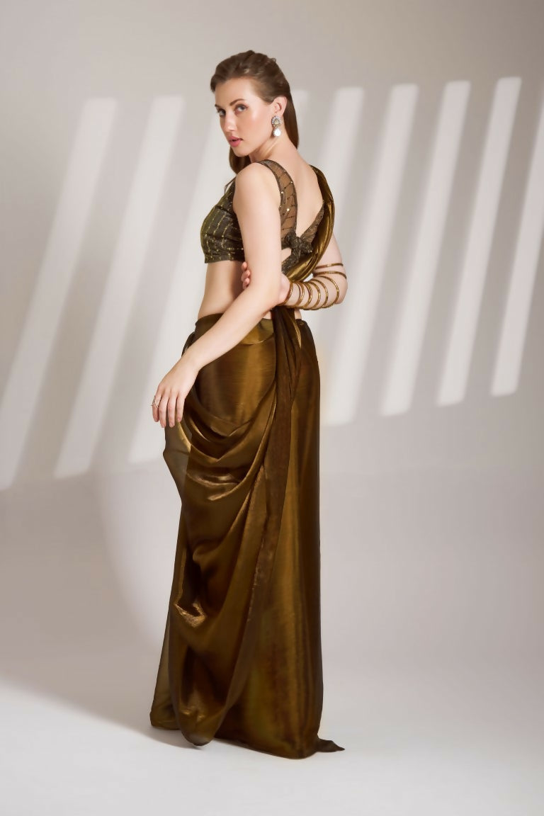 Brown Burberry Organza Solid Fancy Designer Saree - Nafisa
