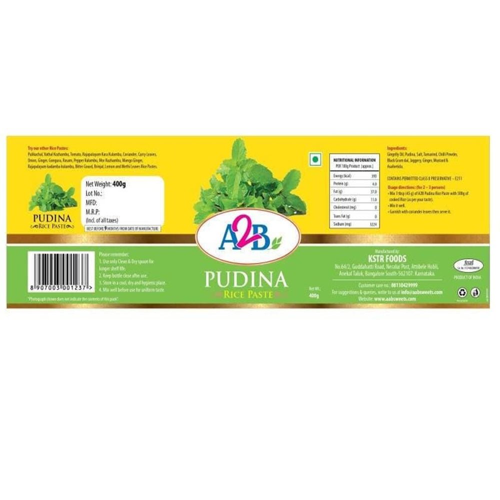 A2B - Adyar Ananda Bhavan Pudina Rice Paste 