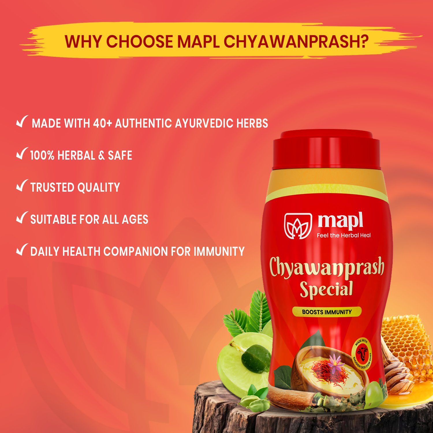MAPL Chyawanparsh Special 