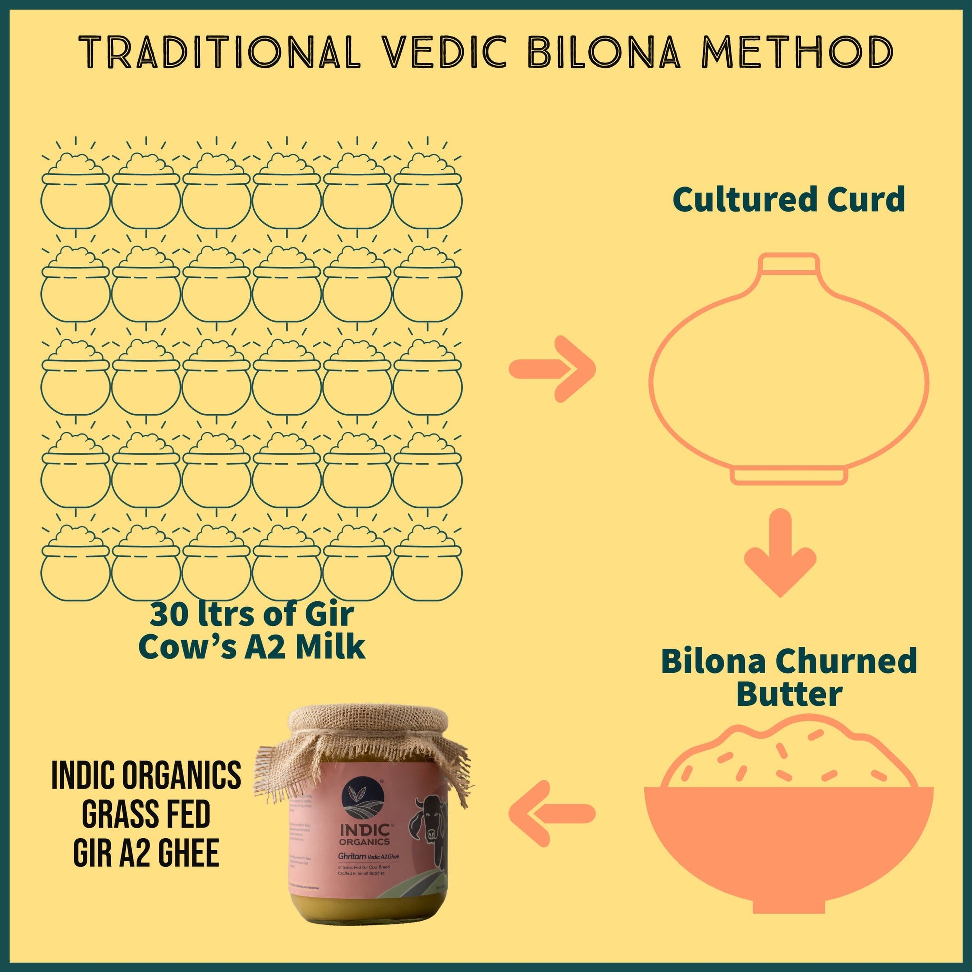 Indic Organics Gir Cow's A2 Ghee | Desi Gir Cow Ghee | Premium and Organic Desi Ghee 