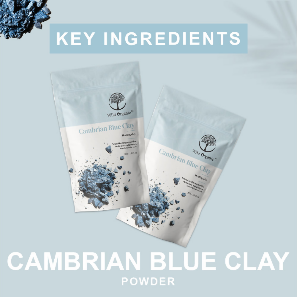 Wild Organic Cambrian Blue Healing Clay Powder  Grab2Buy Wild Organic Grab2Buy