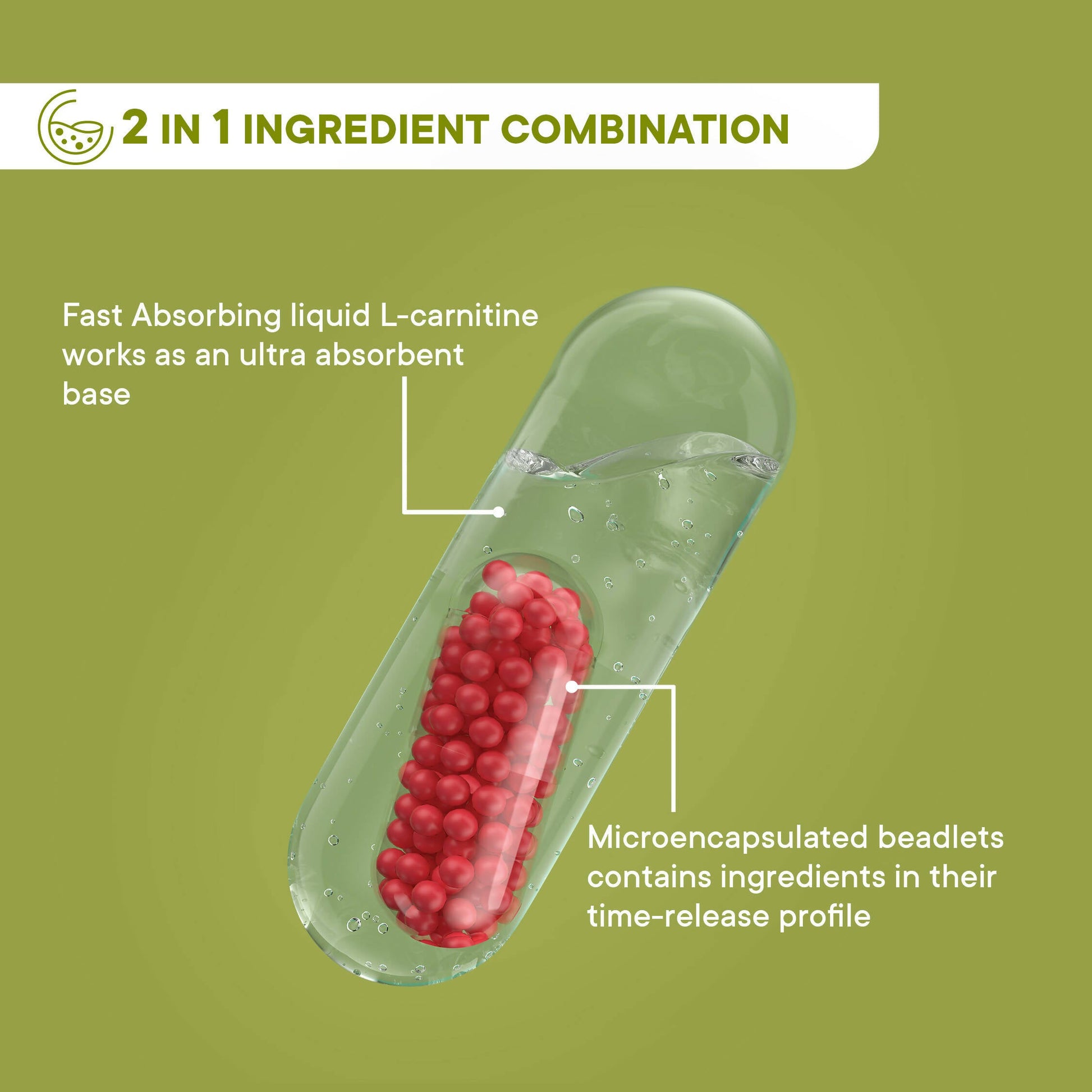 Wellbeing Nutrition Slow | Burn Capsules - Grab2buy