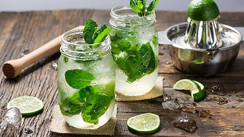 Newtrition Plus Sugar Free Virgin Mojito Syrup  Grab2Buy Newtrition Plus Grab2Buy