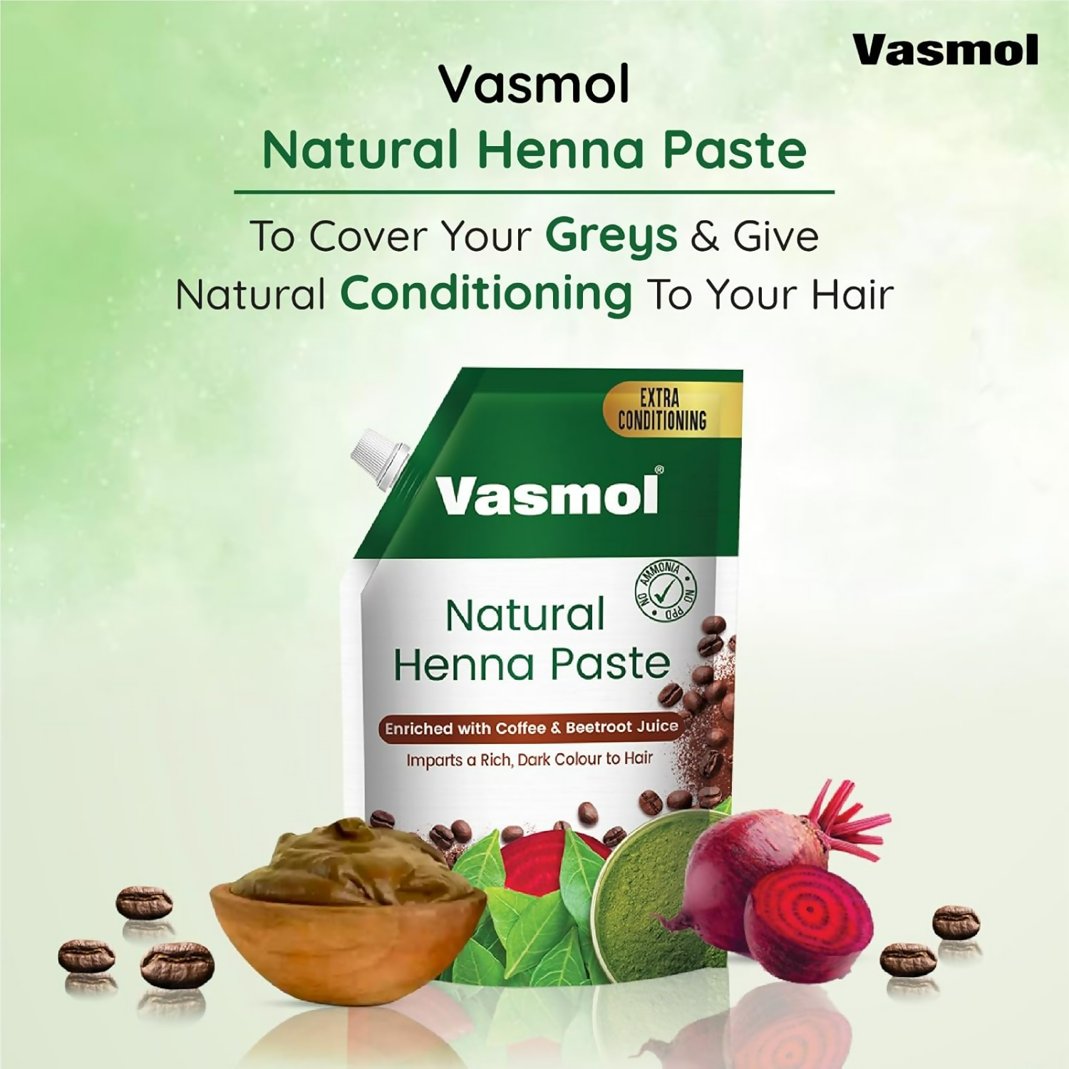 Vasmol Natural Henna Paste Ready To Use  Grab2Buy Vasmol Grab2Buy